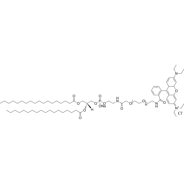 DSPE-Amide-PEG-Rhodamine (MW 2000)